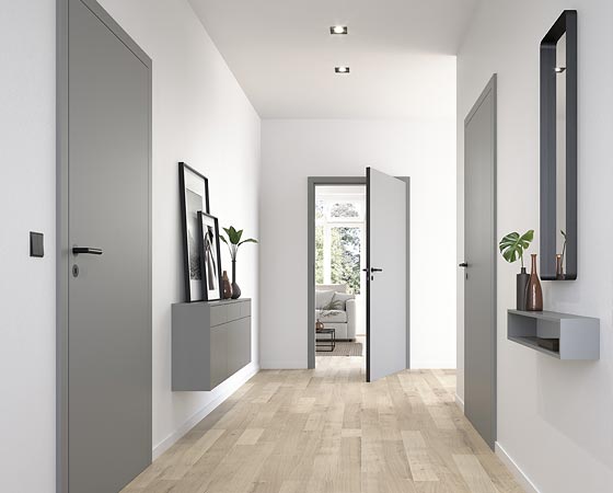 Zimmertüren in grau