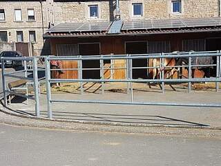 Einzäunung für Paddock  | &copy;Schlosserei Schott GmbH