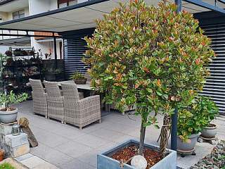 Terrassenüberdachung | ©Schlosserei Schott GmbH